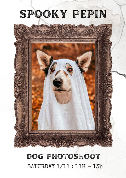 SPOOKY DOG PHOTOSHOOT photoshoot PEPIN 11h